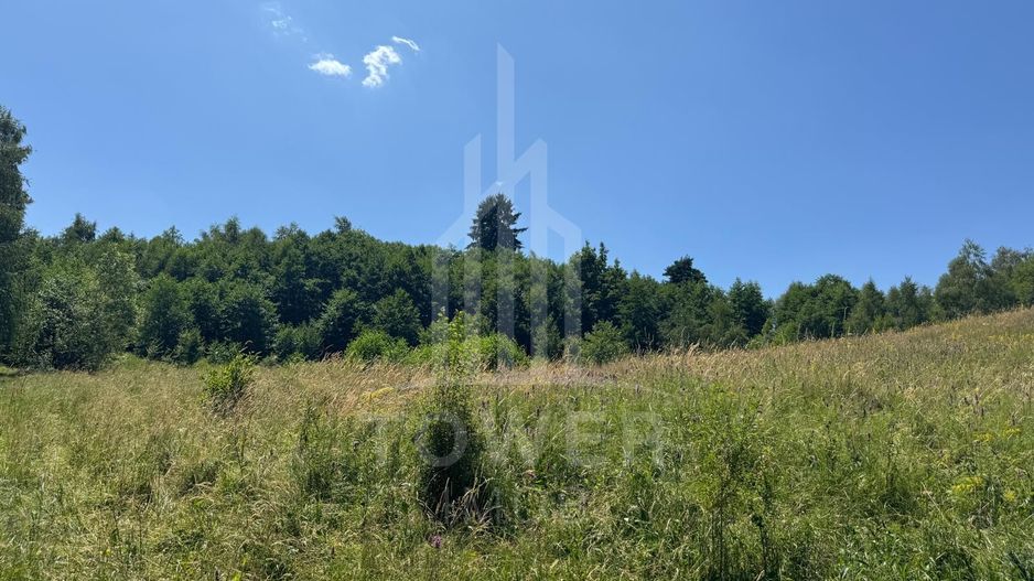 Teren intravilan 4600mp - 55 EUR/mp - EXCLUSIVITATE CISNADIOARA - COMISION 0% - Poză 7