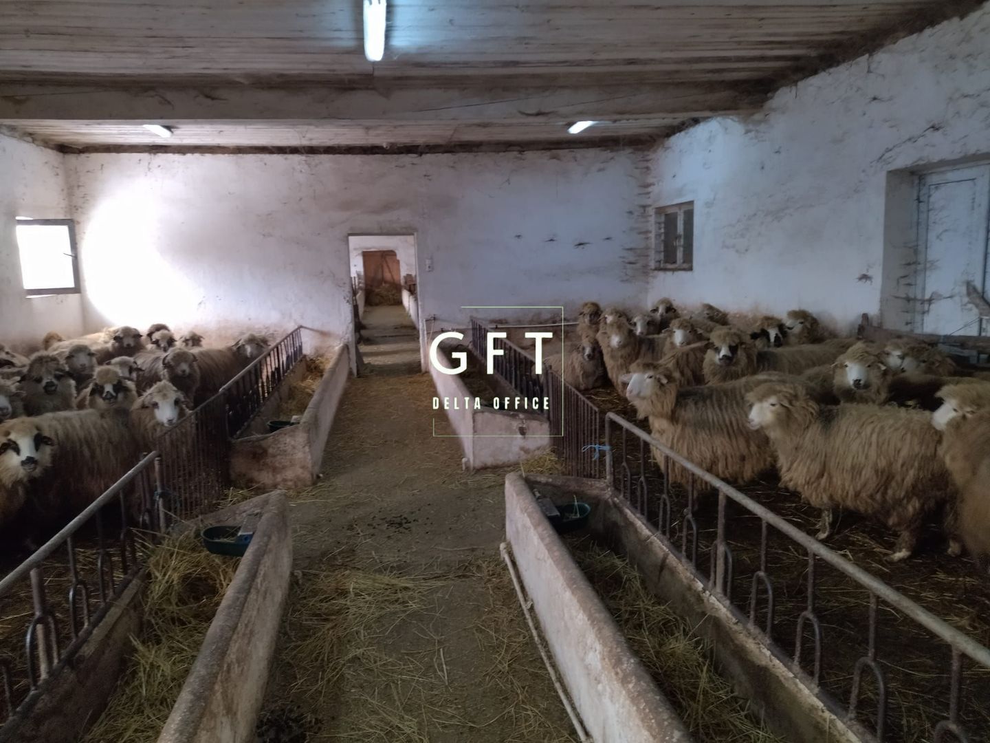 Hala de vanzare Bistrita Nasaud-3.9 km fata de Bistrita - Poză 5