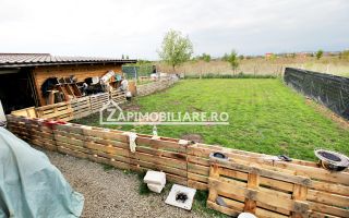 Casa 5 camere,250 mp,660 mp teren, cartier 7 Noiembrie,zona Sudului, - Poză 10