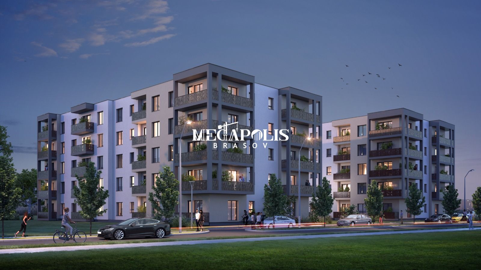 ROKMAN Tiberiu Eremia 12 - Poză 2