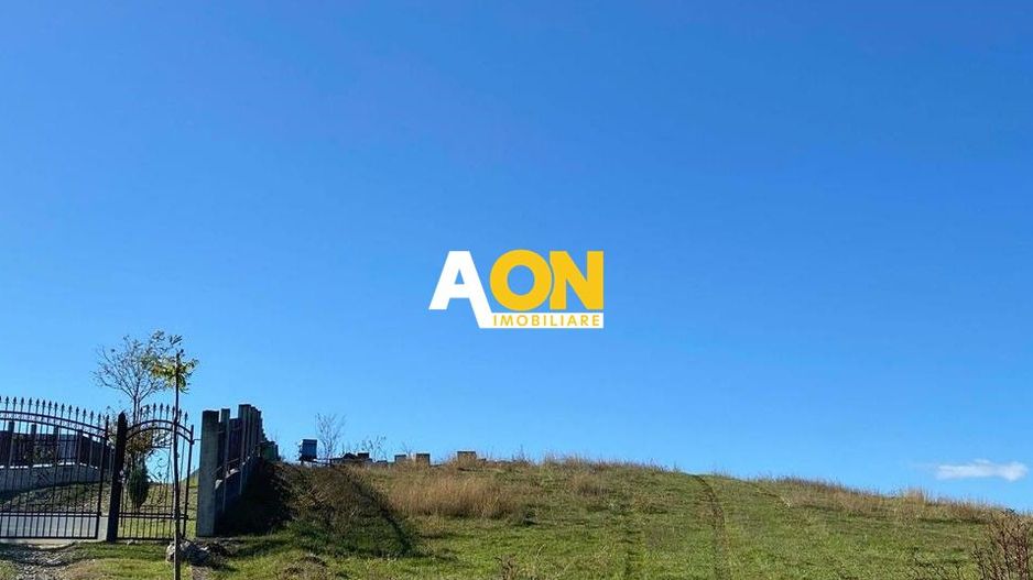 Teren intravilan de vanzare, 7600mp, 30ml deschidere - Poză 2