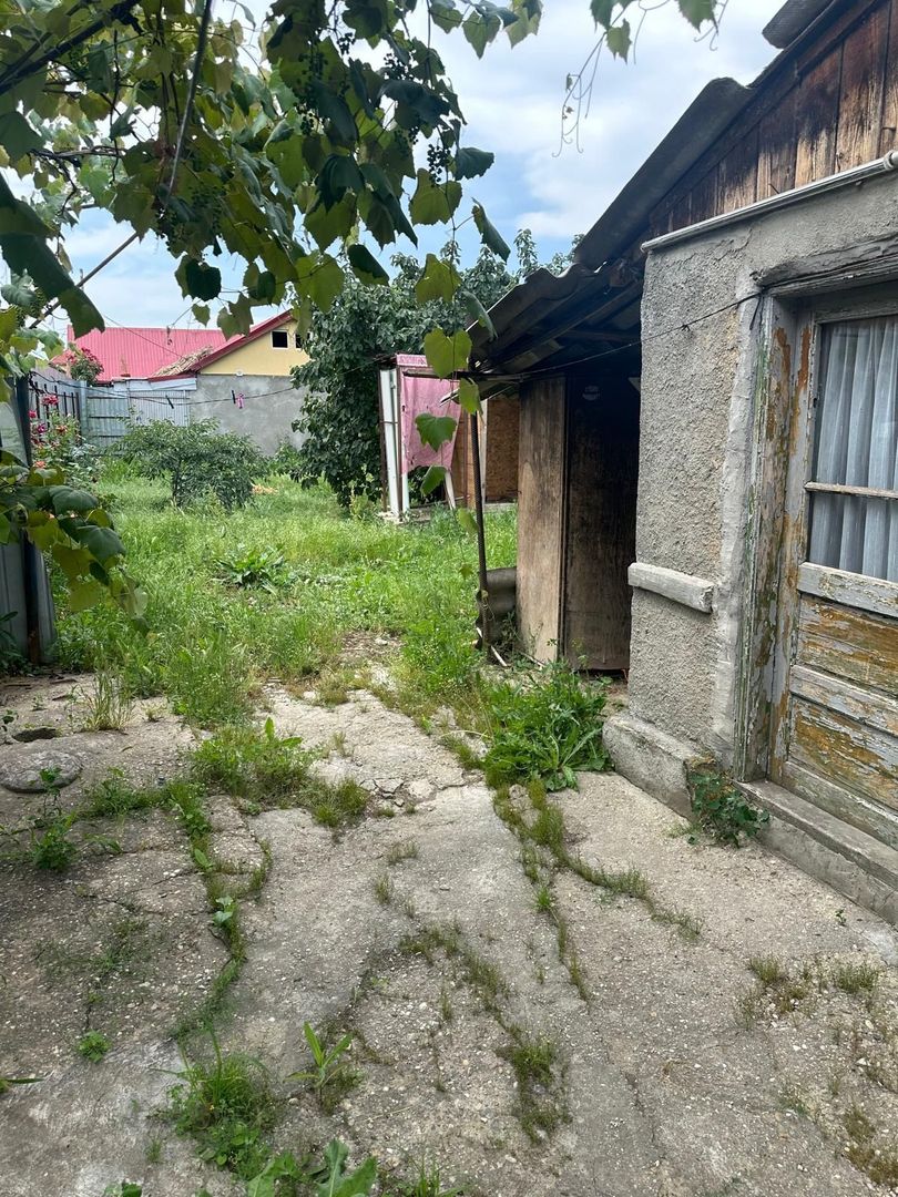 Vanzare casa +teren Cernica - Poză 3