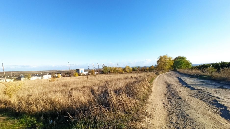 Teren agricol 40 ari Bubuieci - Poză 4