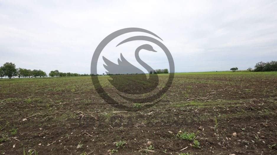 Teren de vanzare in Manesti, Prahova | 18.000 mp | Deschidere 60 ml - Poză 3