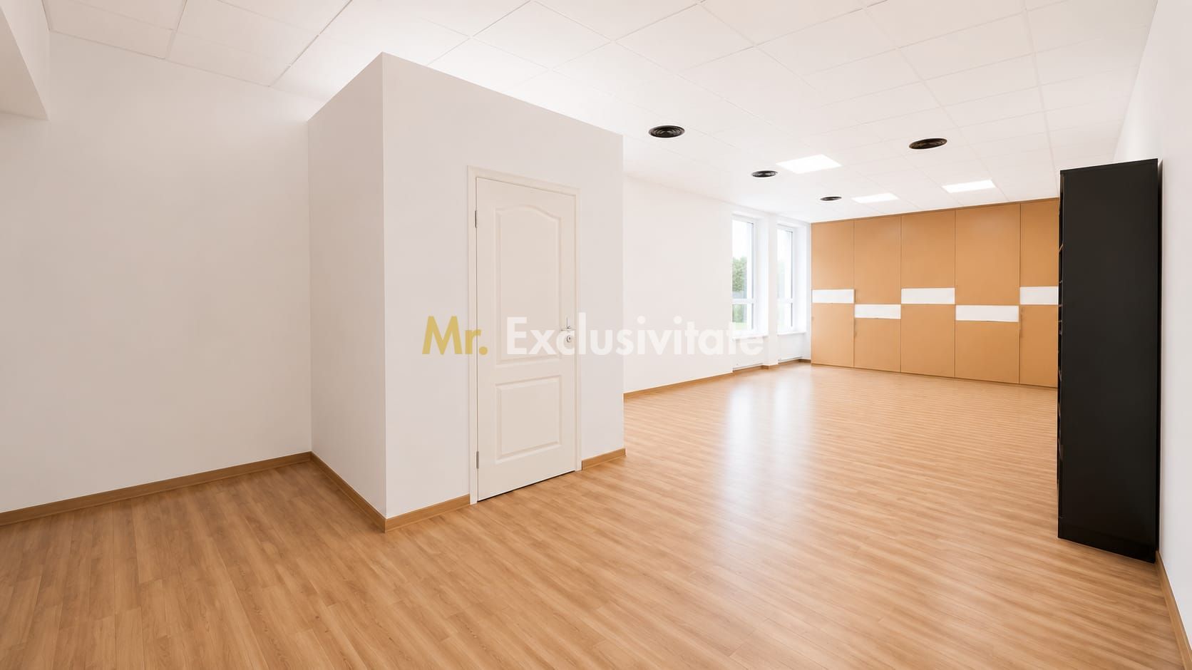 Inchiriere spațiu comercial 133 mp Ultracentral -Tășnad Jud. Satu Mare - Poză 7