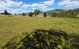 Teren 7000mp Arieseni - Poză 2