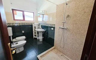 Vilă cu ponton privat la Lacul Snagov – casă de oaspeți, cramă, 1.768 mp - Poză 13