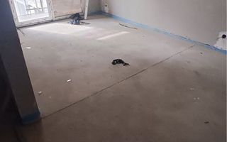 Apartament 2 camere 37mp, balcon 10mp, zona Fabricii/Marasti - Poză 3