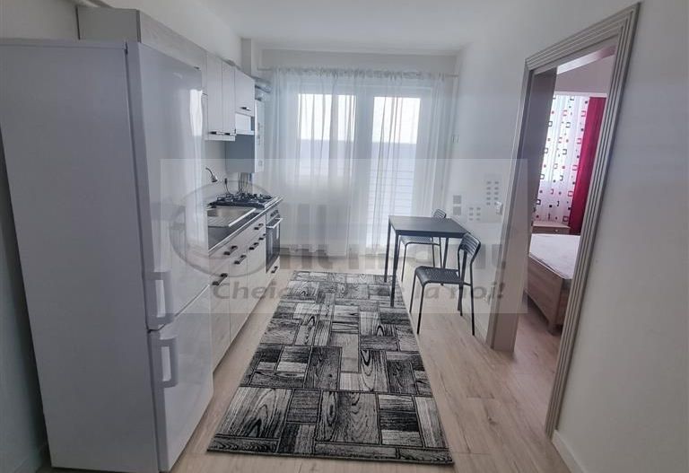 Apartament 1 camera Bucium-300Euro - Poză 5