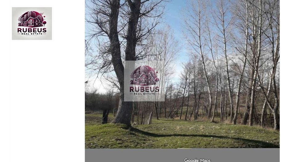 Oportunitate rară! 1 ha pădure Corcova – teren cu potențial real - Poză 1