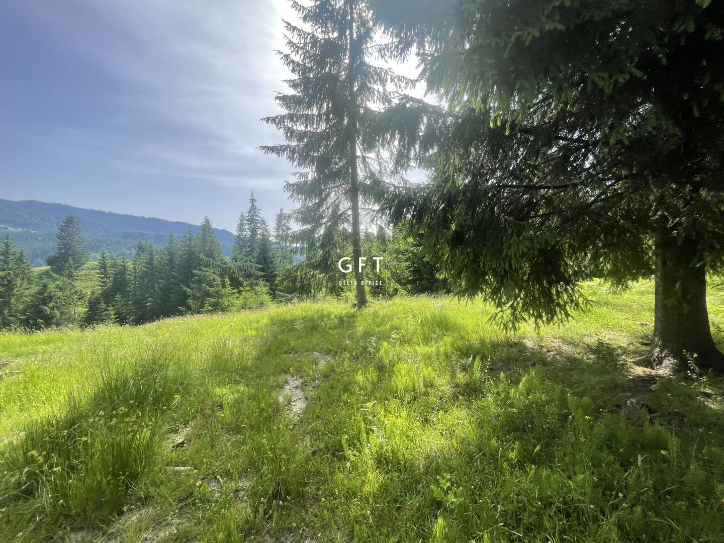 Teren intravilan, Colibita, 2150 €/ar!!! - Poză 3