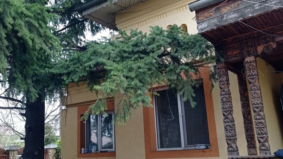 Vânzare casa cu teren - Poză 1