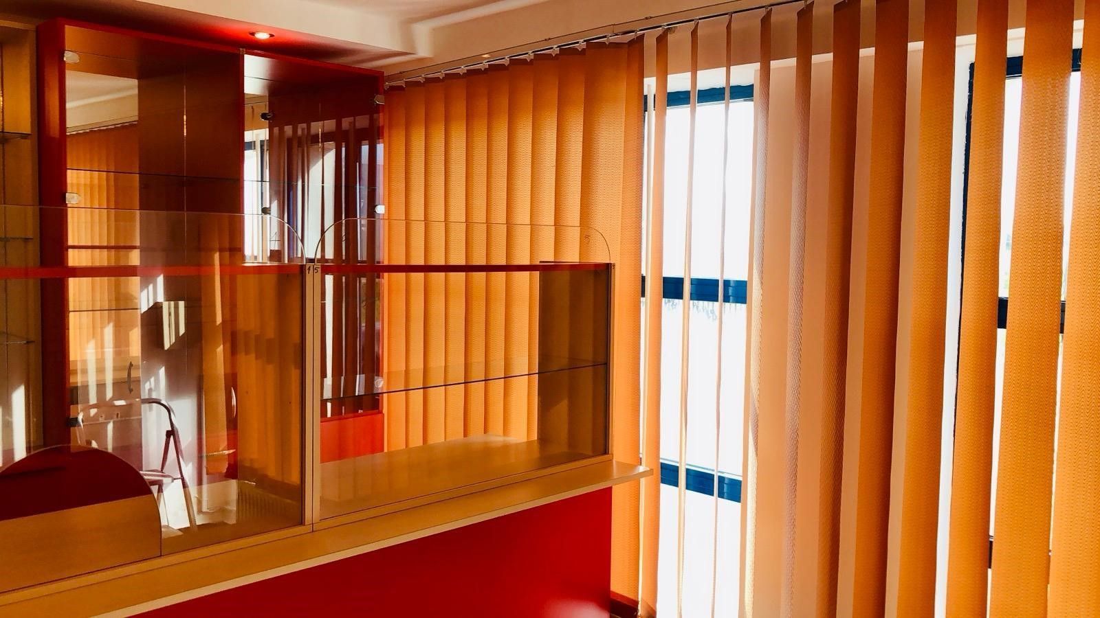 Vila Vulpesti Buzoesti - Poză 20