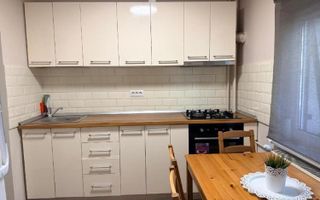 Închiriere Garsonieră Renovata, Piata Muncii - Decebal, Preț Negociabil! - Poză 7