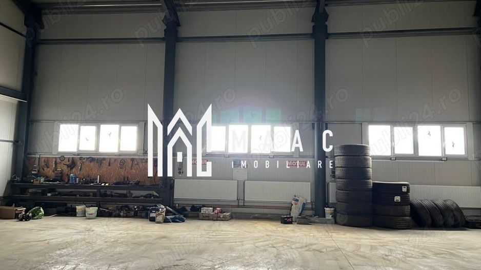 Hală industrială I Birouri I Parcare I TIR I 12000 mp I Bradu - Poză 1