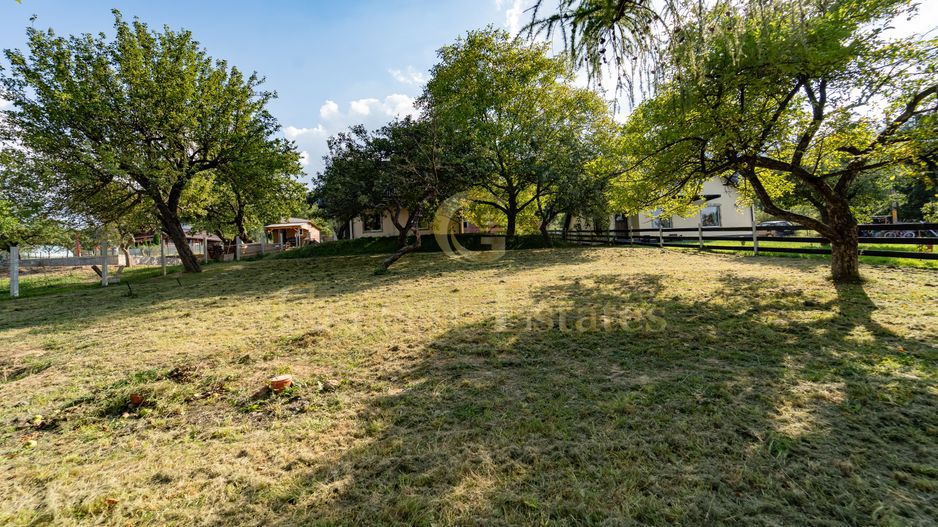 Casa de vacanță din Tohănița – locul unde muntele întâlnește liniștea - Poză 28