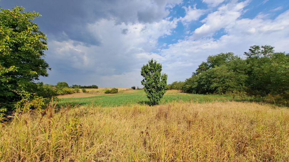 Casa + Teren 13.000 mp - Cervenia - Teleorman - Poză 5