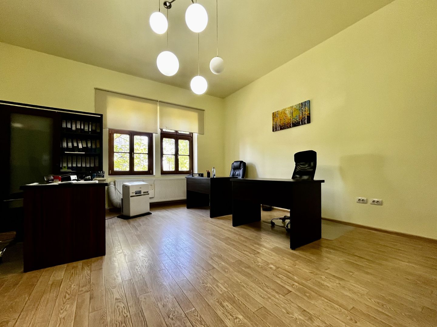 Apartament pretabil birou sau investiție, Central - Take Ionescu - Poză 4