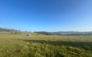 50 hectare teren | Moldova-Sulita | Potential turistic si agricol - Poză 6