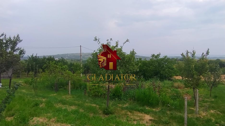 Casa + garaj + 5400 mp teren in Tomesti Goruni, zona de vis, nu rata - Poză 18