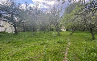 TEREN INTRAVILAN 7018 MP CAMPULUNG - Poză 3