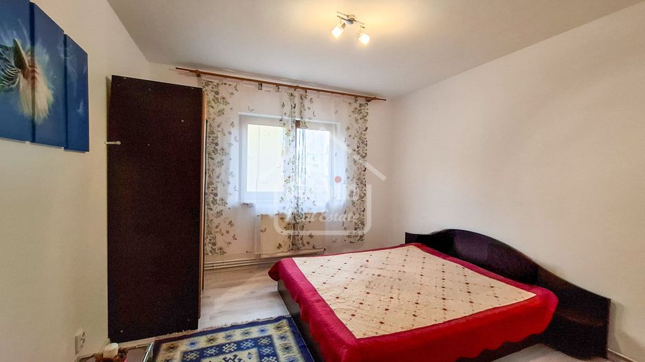 Suprafata Generoasa I Zona Gemenii - Poză 2