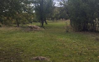 Teren intravilan 1500 mp-ideal casa-Mijlocenii Bargaului - Poză 3