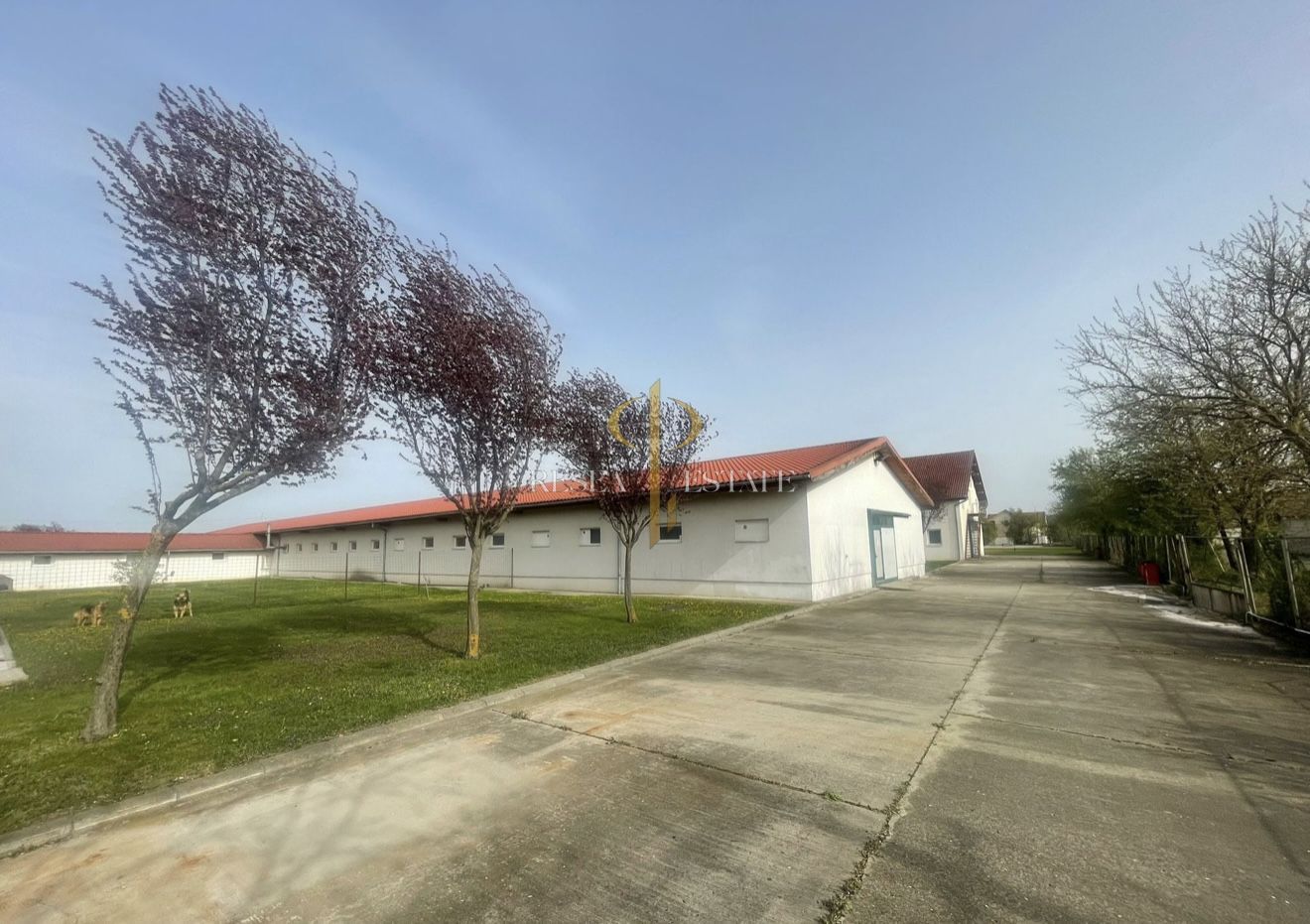 Spatii comerciale pentru activitati diverse - Dumbravita, central - Poză 9