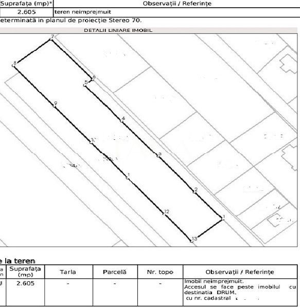 Teren extravilan, Valea Chintaului - Poză 1