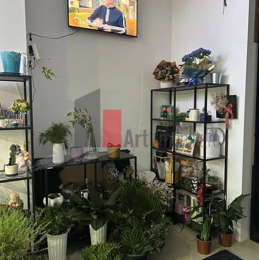 Inchiriere Spatiu Comercial Piata Victoriei, 30mp - Poză 2
