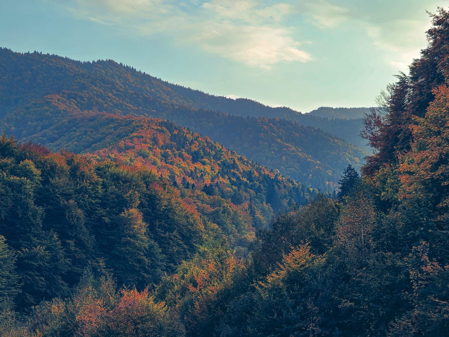 La poalele Tâmpei,  având în apropiere parc, magazine, stație autobuz - Poză 11