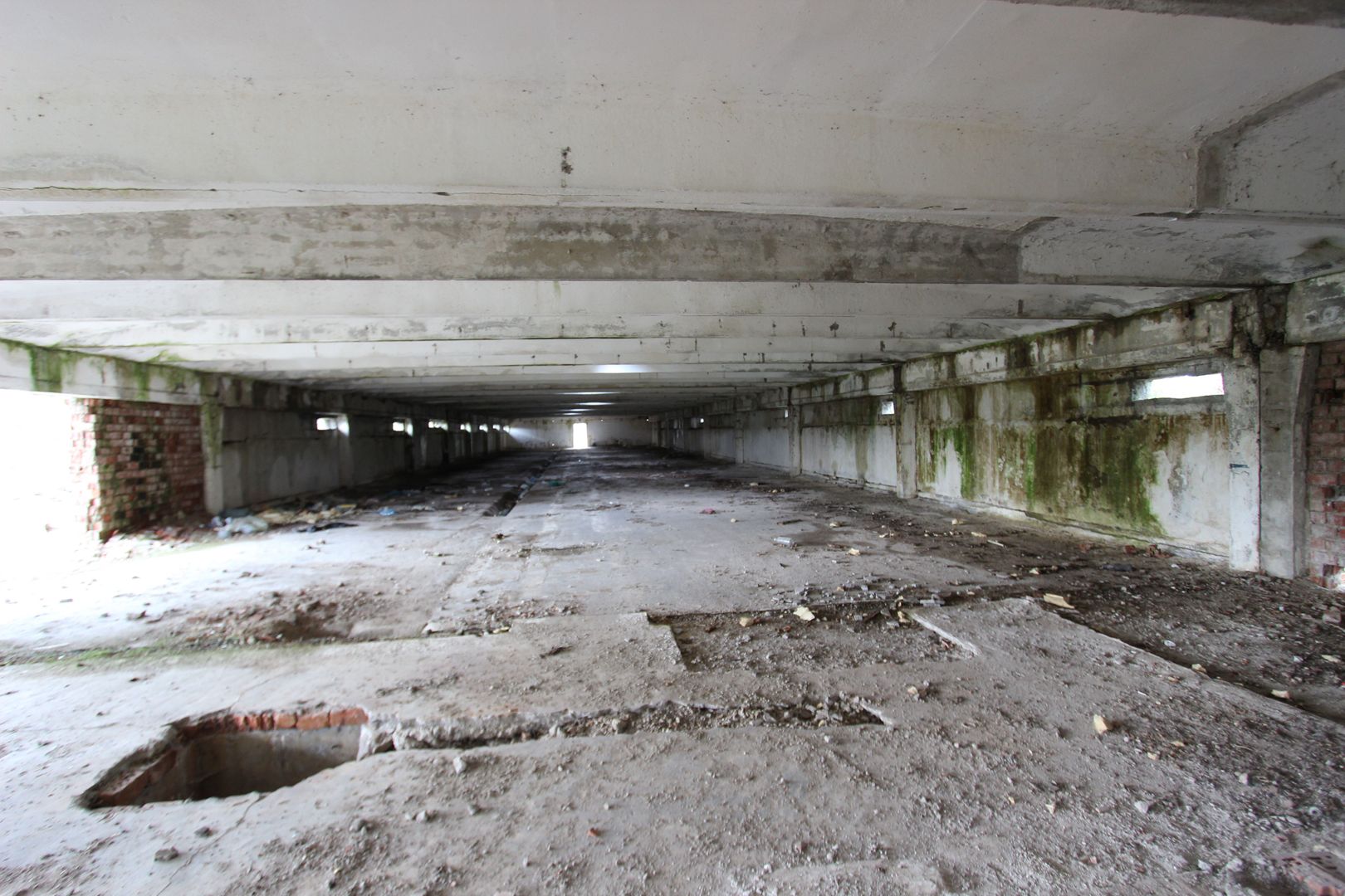 Vanzare hale Mosnita Noua-fosta Ferma 7 - Poză 24