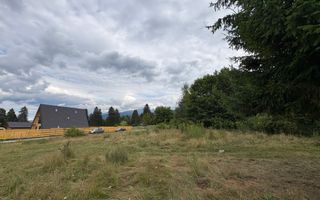 Teren intravilan de vanzare I 1990 mp I Valea Avrigului – lângă Cabana Aris - Poză 4