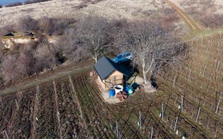 Vita-de-vie Premium  teren de 6800 mp în Covăsinț - Poză 14