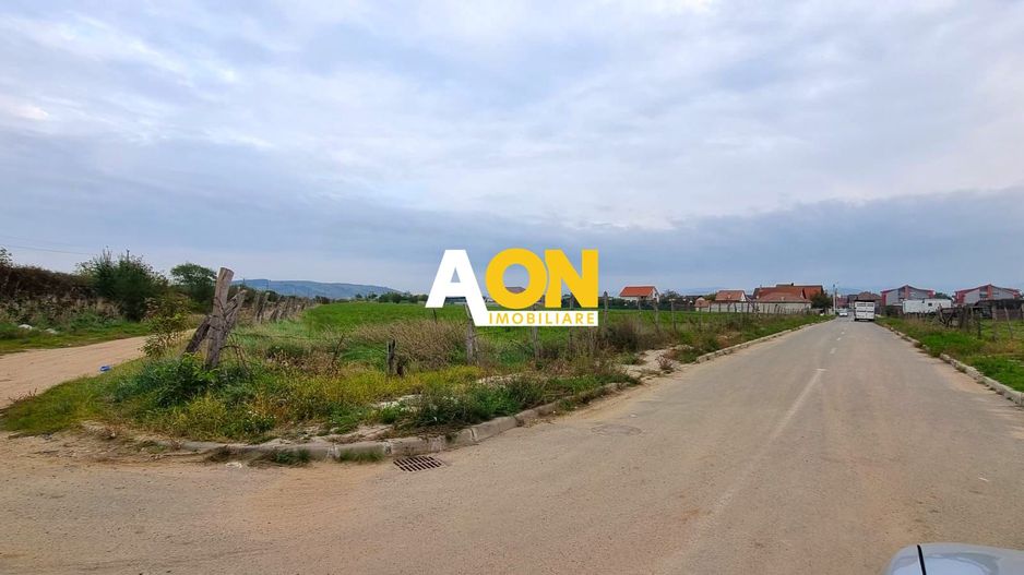 Oportunitate de investitie, posibilitate parcelare, 12.000 MP, Sebes - Poză 2