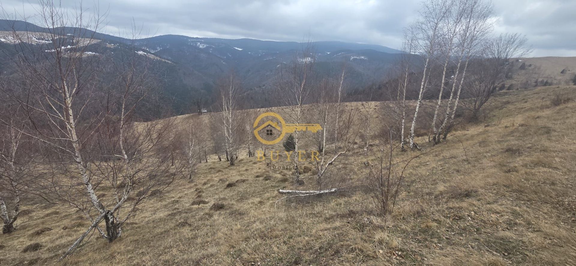 Teren investitie Paltinis - Poză 8