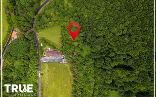 Teren intravilan 2.800 m² în Câmpu Cetății – liniște și natură - Poză 8