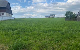 Teren Intravilan | 44.5 Ari | Burla - Poză 1