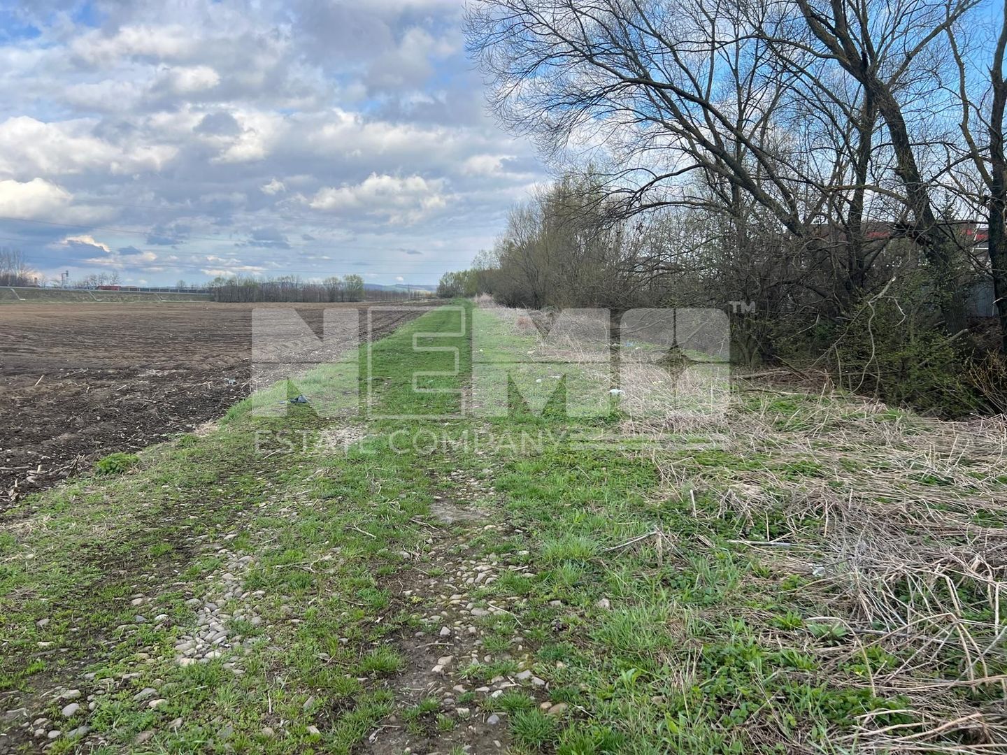 Teren Extravilan | 48 Ari - Poză 2