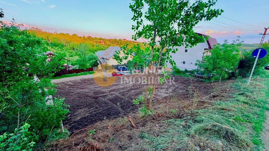 TEREN INTRAVILAN 500 MP REDIU - Pozitie excelentă - 49.000 Euro - Poză 5