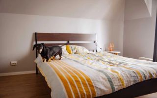 3 camere open space, parcare, Calea Turzii, Europa, Pet Friendly - Poză 6