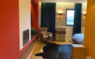 Casa de inchiriat Remetea Mare - Poză 10