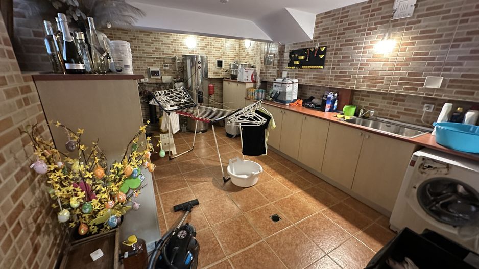 Iancu Nicolae- Vilă impresionantă-8 camere si 772 mp teren- comision 0 - Poză 20