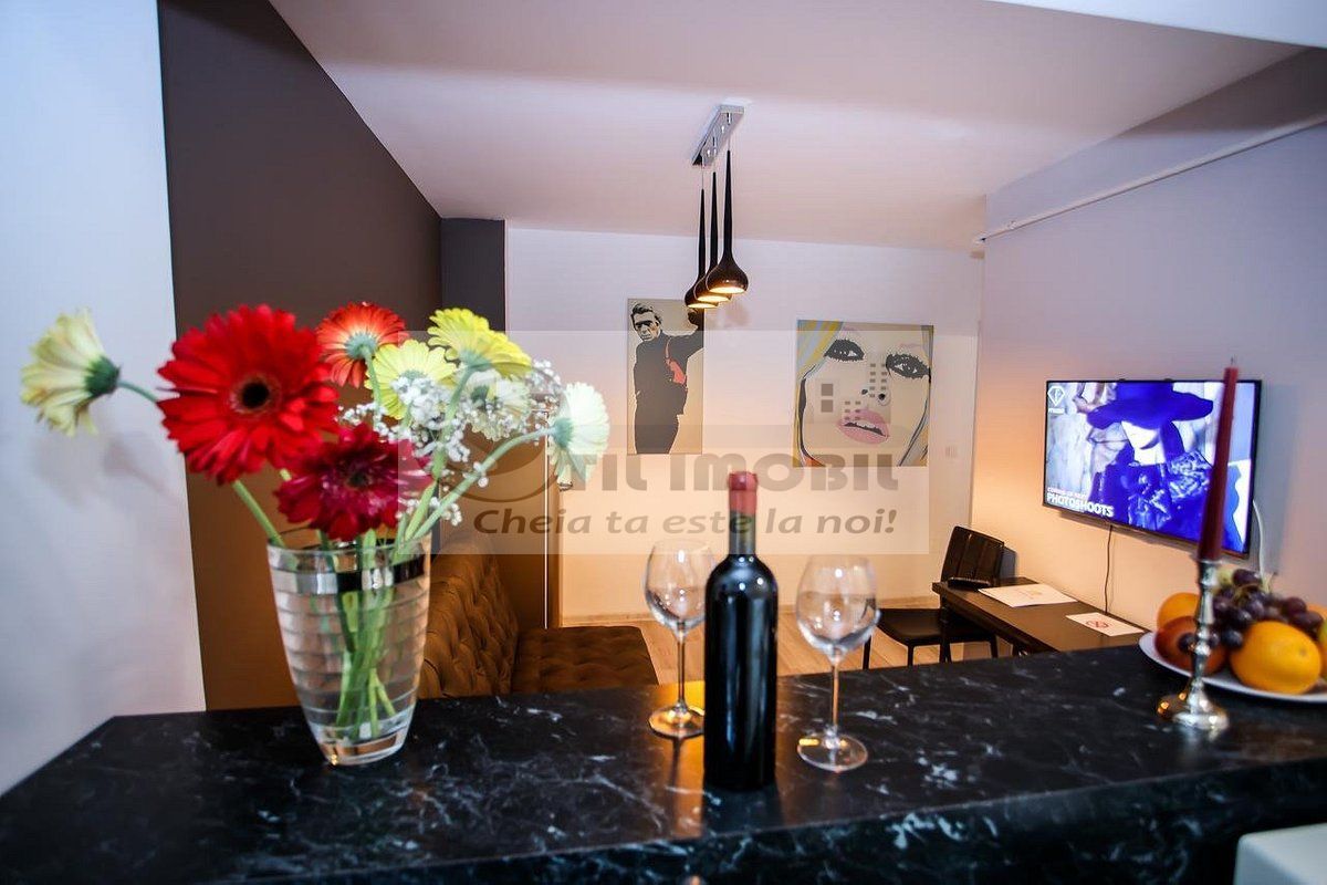 Apartament 3 Camere Metropolitan Iassium Luxury Suites - 700 euro - Poză 3