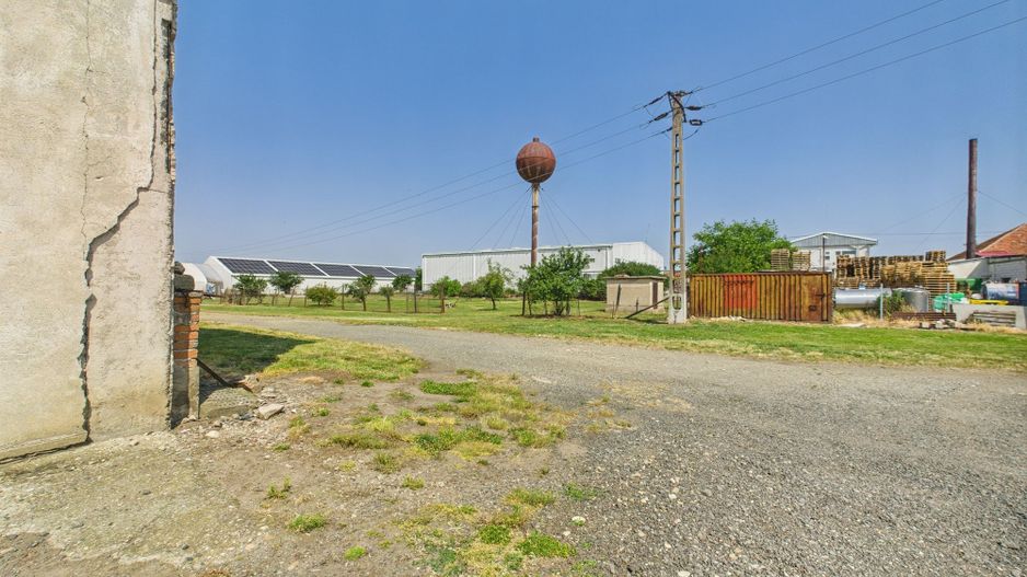 Complex industrial cu hale și teren  în Orțișoara - Poză 42