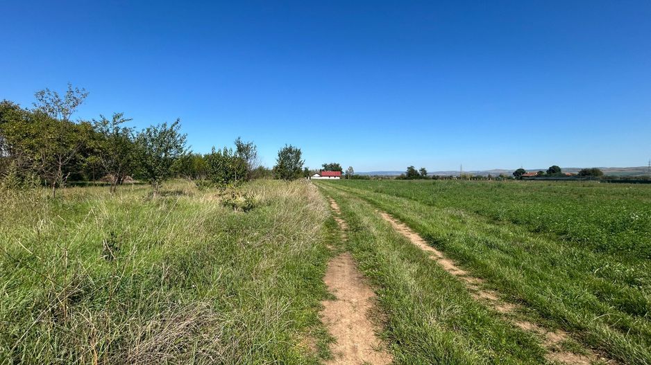 Teren intravilan, 5700mp - Teius - Poză 4