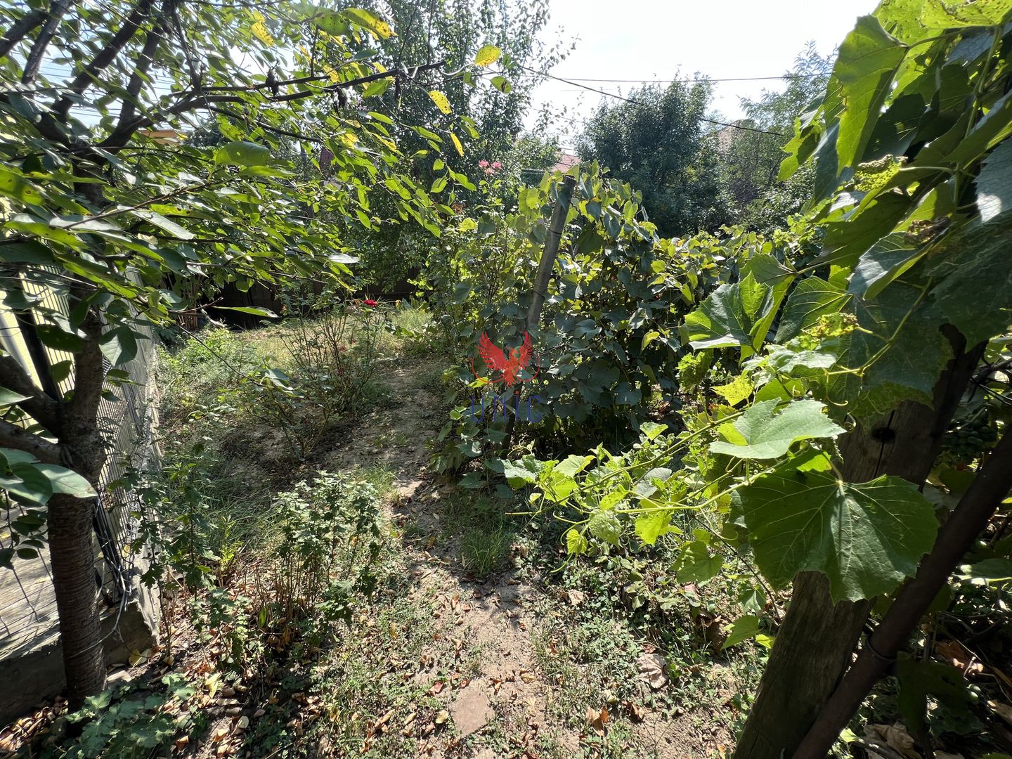 Teren + Casa zona Agronomie - Poză 16