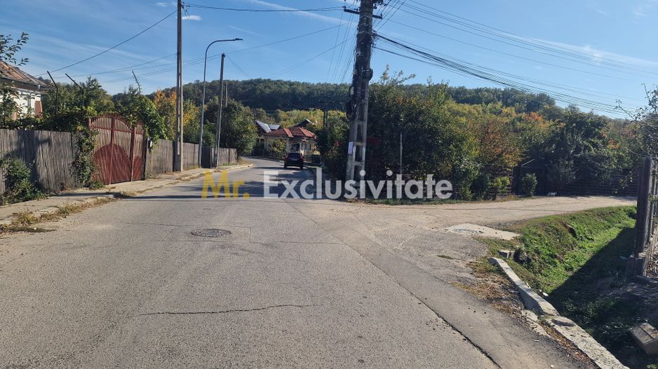 Teren intravilan Topoloveni - Poză 2