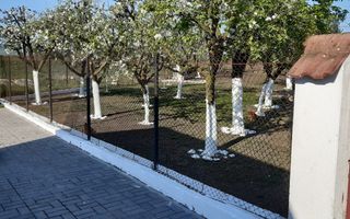 OFERTA in Băcia. Hunedoara ! Proprietate 2 case + Cabană - Poză 14