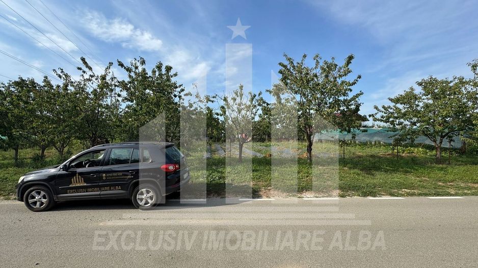 Teren intravilan de vanzare, Alba-Micesti - Poză 2